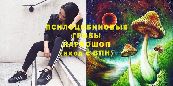 тгк Аркадак