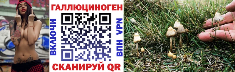 Галлюциногенные грибы Psilocybine cubensis Белореченск